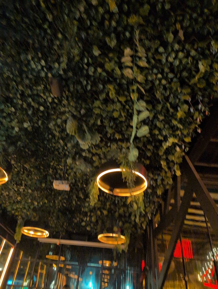 Techo verde con aros de luz
